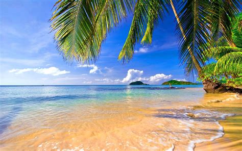 beach images for desktop background|free beach background images.